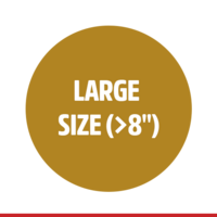 BW-ALLOY-STEEL-ELBOWS-LARGE-SIZE